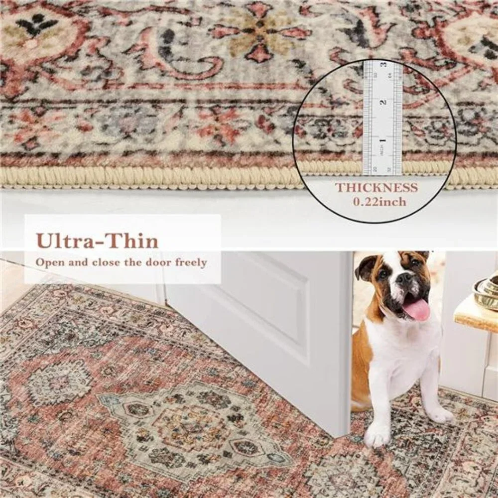 Oriental Door Mat Indoor Entrance, 2x3 Washable Indoor Rugs for Entryway Soft
